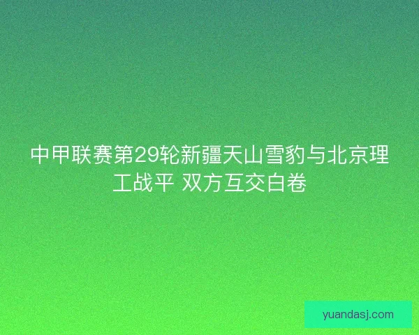 中甲联赛第29轮新疆天山雪豹与北京理工战平 双方互交白卷