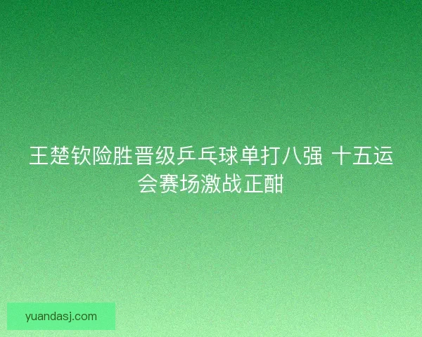 王楚钦险胜晋级乒乓球单打八强 十五运会赛场激战正酣