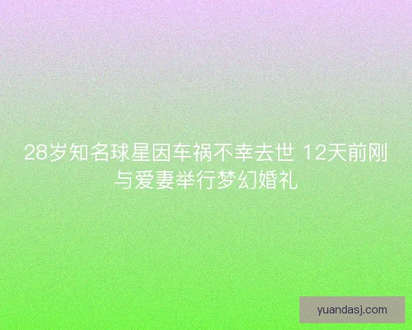 28岁知名球星因车祸不幸去世 12天前刚与爱妻举行梦幻婚礼