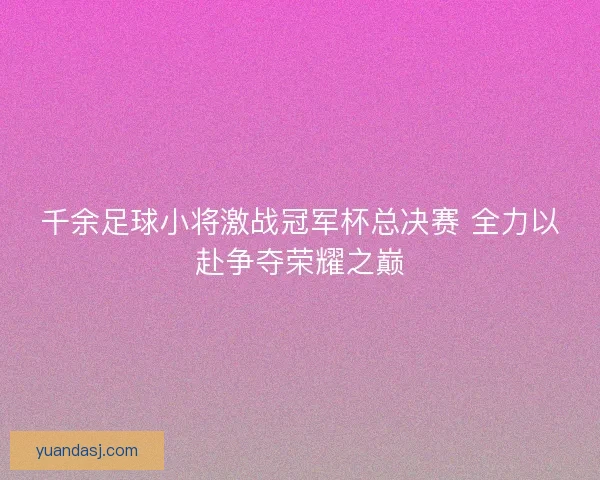 千余足球小将激战冠军杯总决赛 全力以赴争夺荣耀之巅